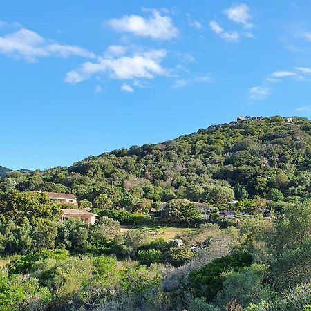 Bel Appartement Dans Hameau Calme Bonifacio  Bagian luar foto