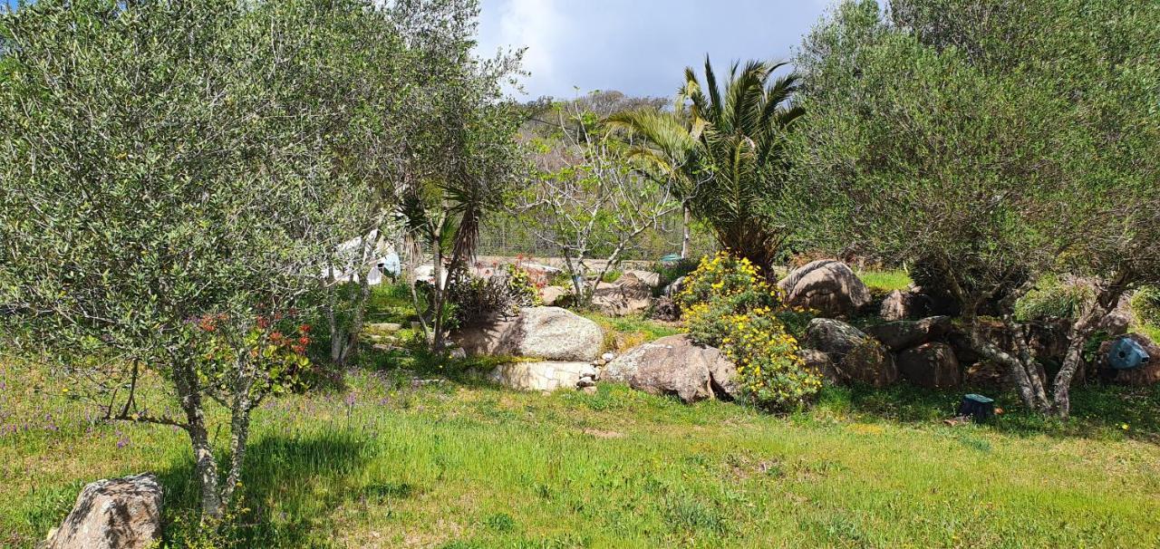 Bel Appartement Dans Hameau Calme Bonifacio  Bagian luar foto